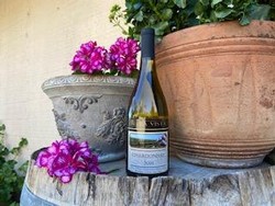 '19 Chardonnay